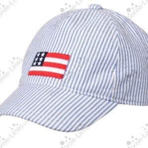 Janie and Jack blue pinstripe flag ball cap